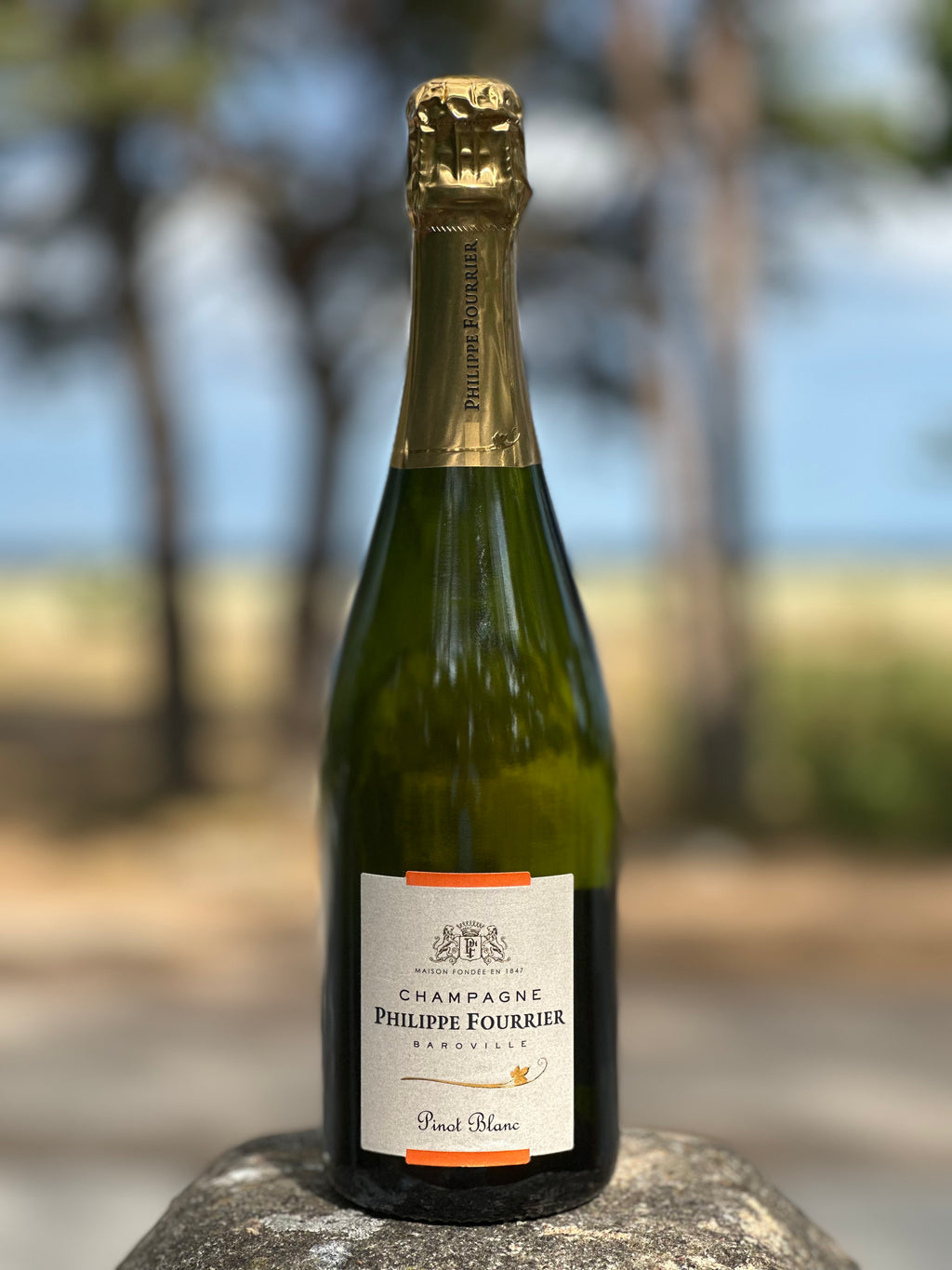 Philippe Fourrier "Pinot Blanc"