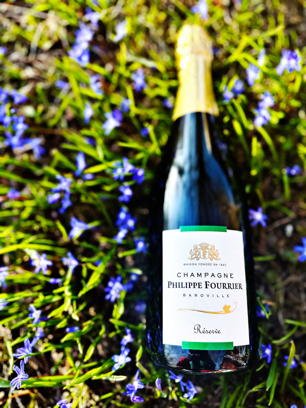 Philippe Fourrier "Réserve"