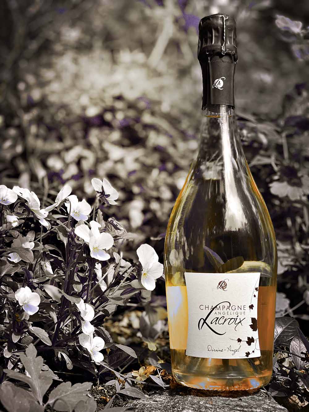 Angélique Lacroix "Divine-Angel Prestige Rosé"